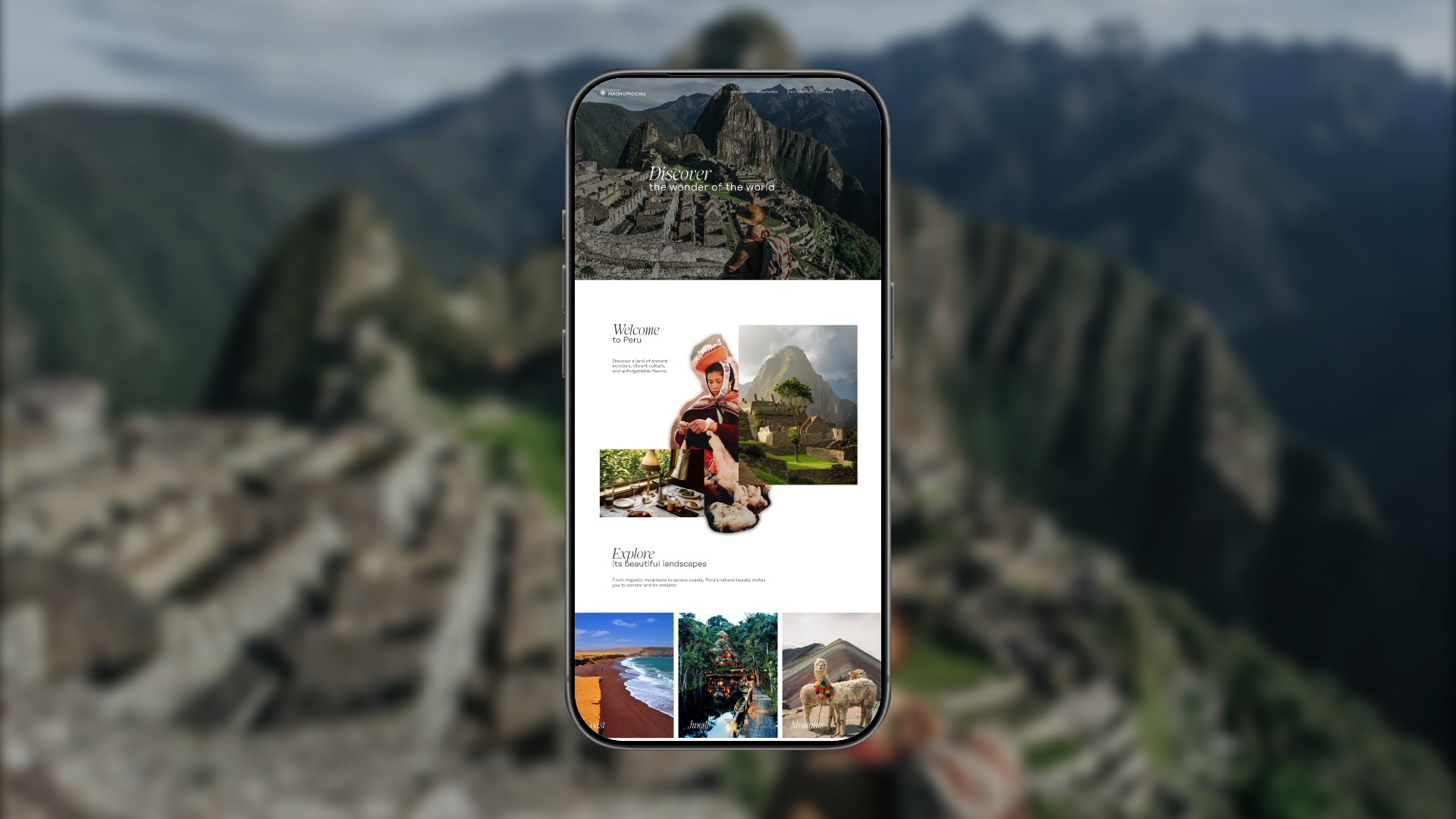 paginasweb (2)