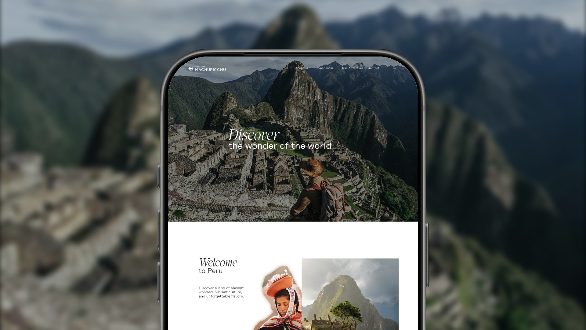 paginasweb (3)