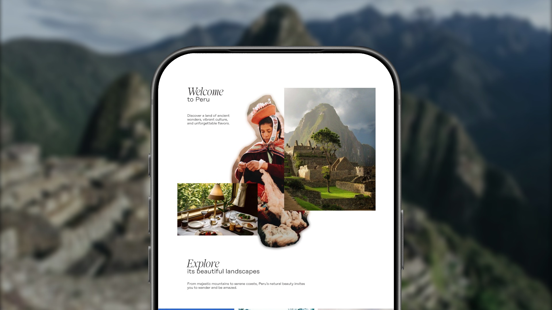 paginasweb (4)