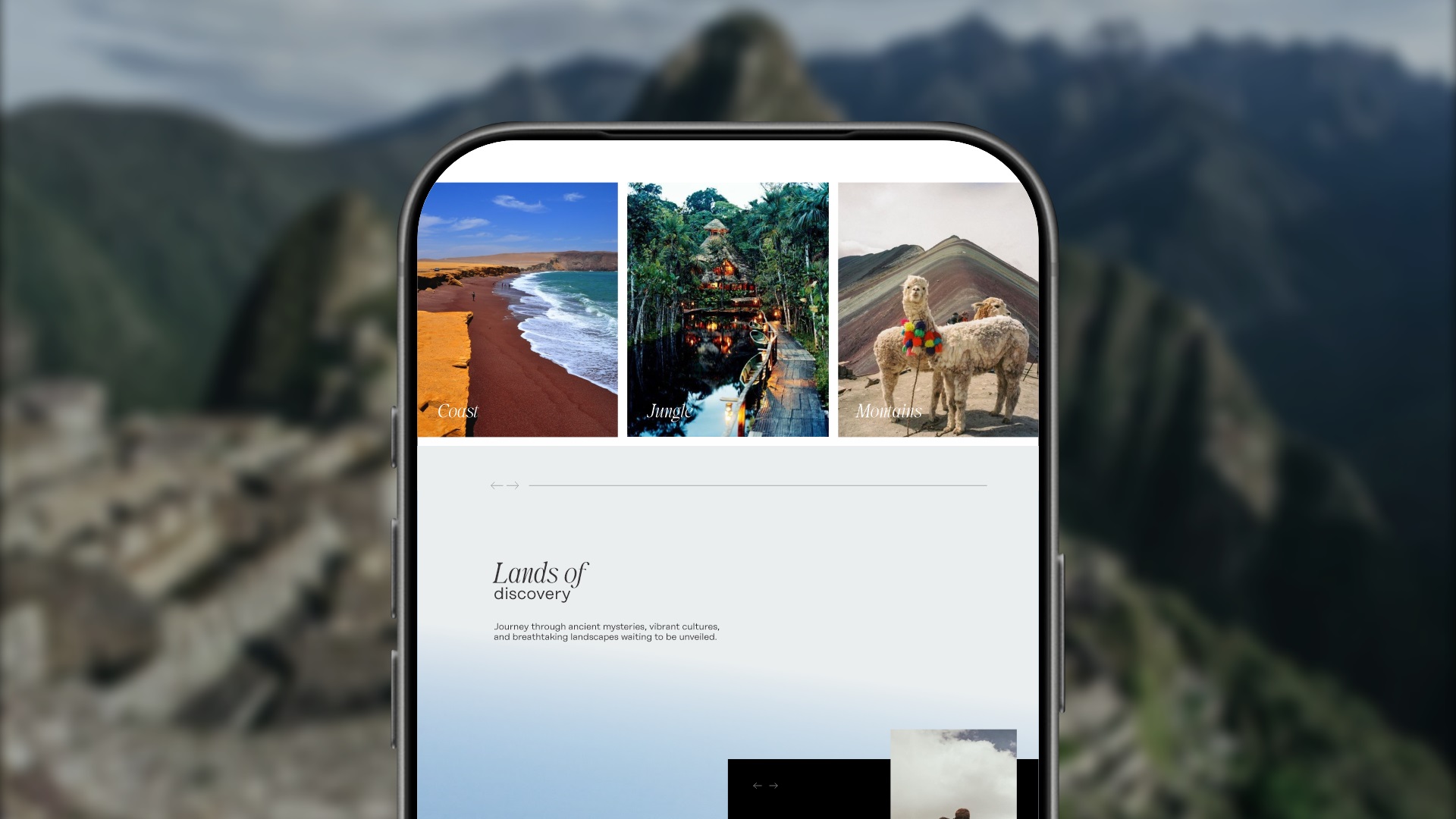 paginasweb (5)