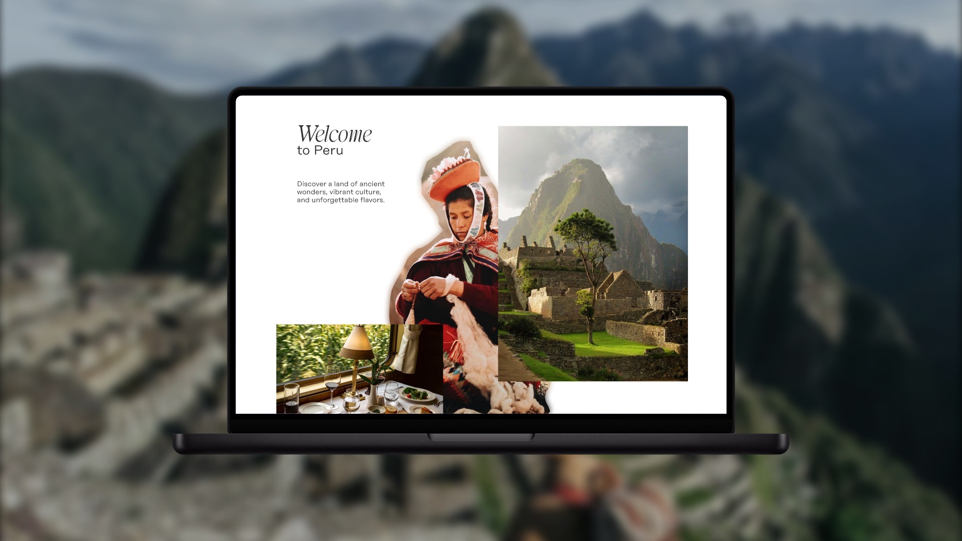 paginasweb (9)
