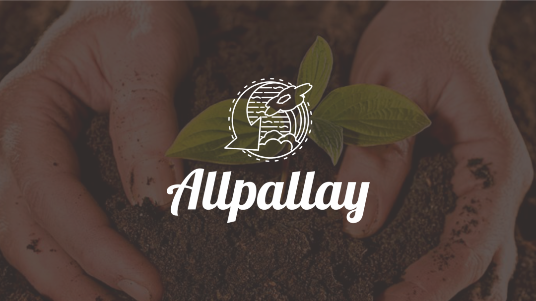 allpayay (1)