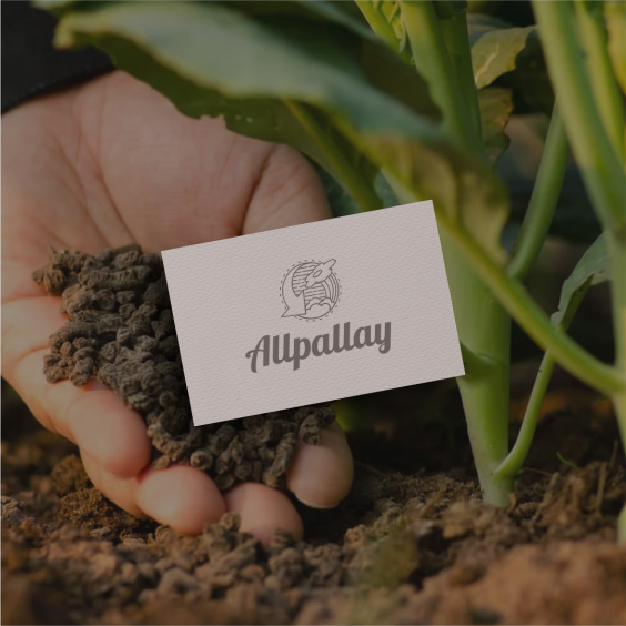 allpayay (2)