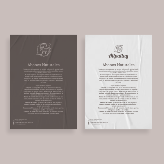 allpayay (5)