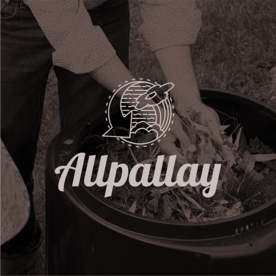 allpayay (6)