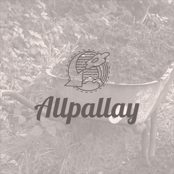 allpayay (7)