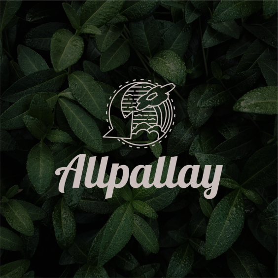 allpayay (9)