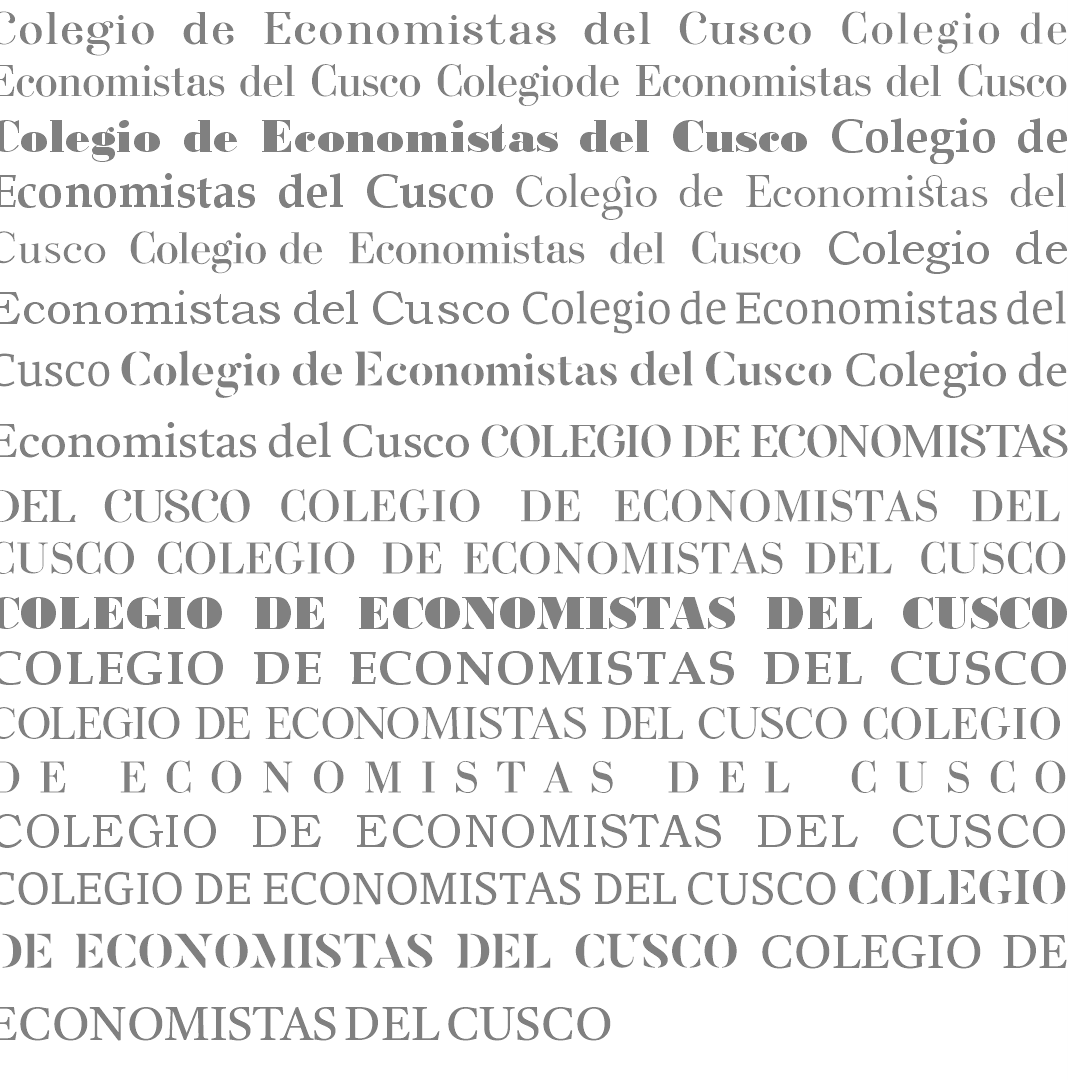 colegio de economistas (9)